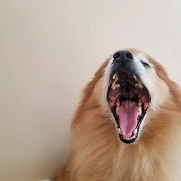 Meet your Posher, Michaela - Picture 1 of 1